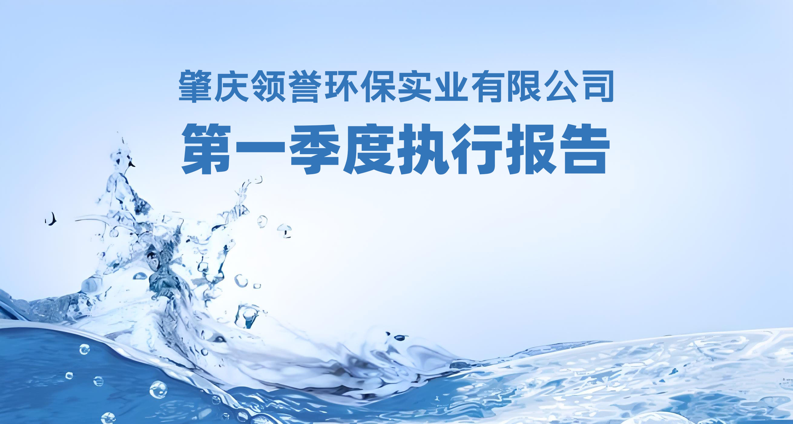 第一季度执行报告
